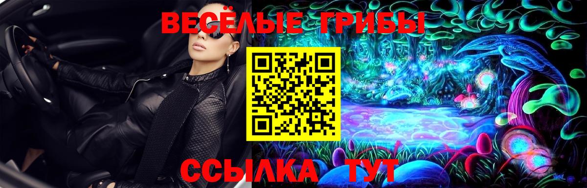 наркота  Галлюциногенные грибы Cubensis  Вход с VPN  Мурманск 
