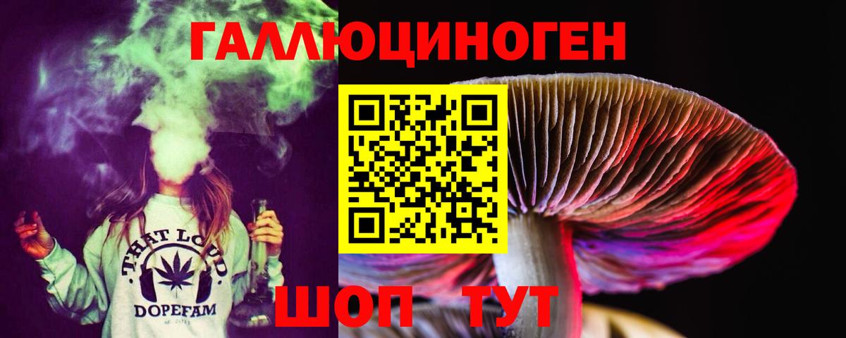 Галлюциногенные грибы Psilocybe Мурманск